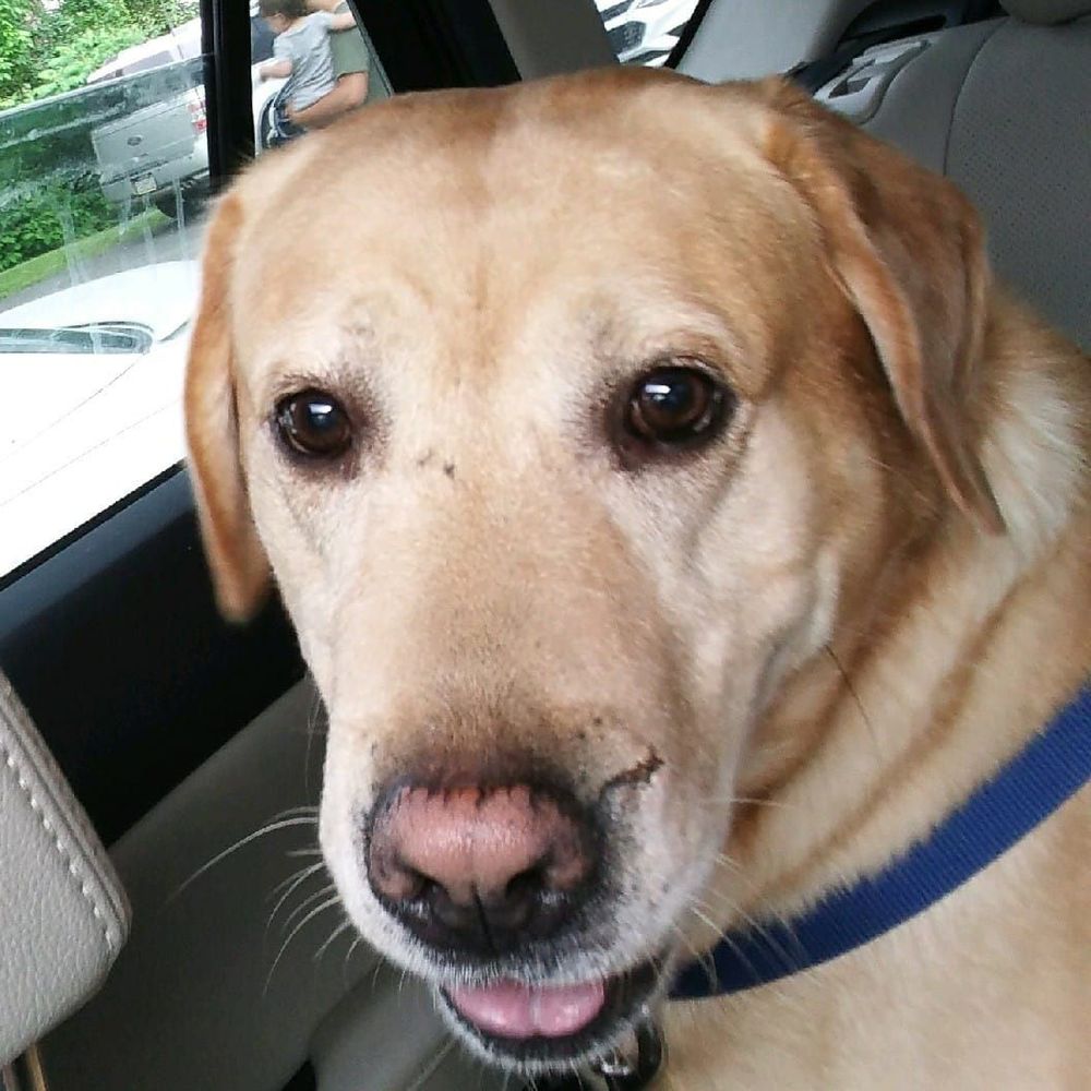 Meet your Posher, Jenn